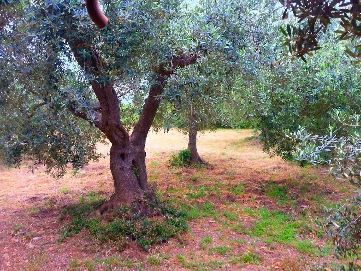 Belvilla By Oyo Comfy Holiday Home With Garden Monte Argentario